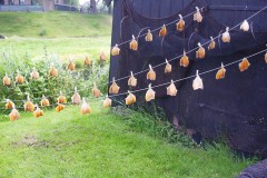 Dagtocht-2013-52
