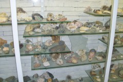 Dagtocht-2011-7