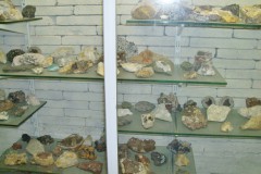 Dagtocht-2011-8
