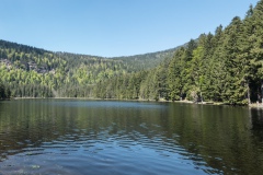 DSC88041-Pano_1