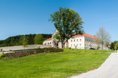 Wenen-2019-79